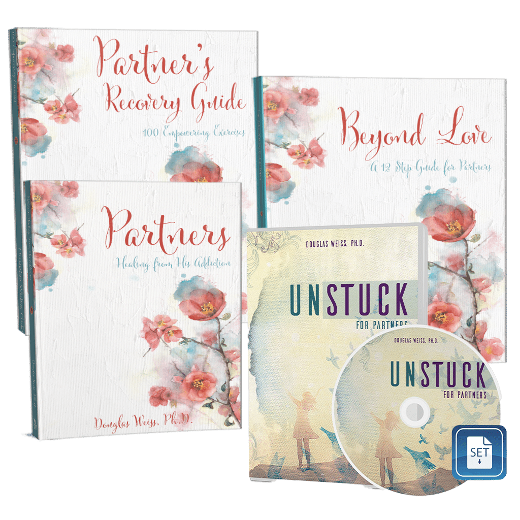 Partner Recovery Set Download
