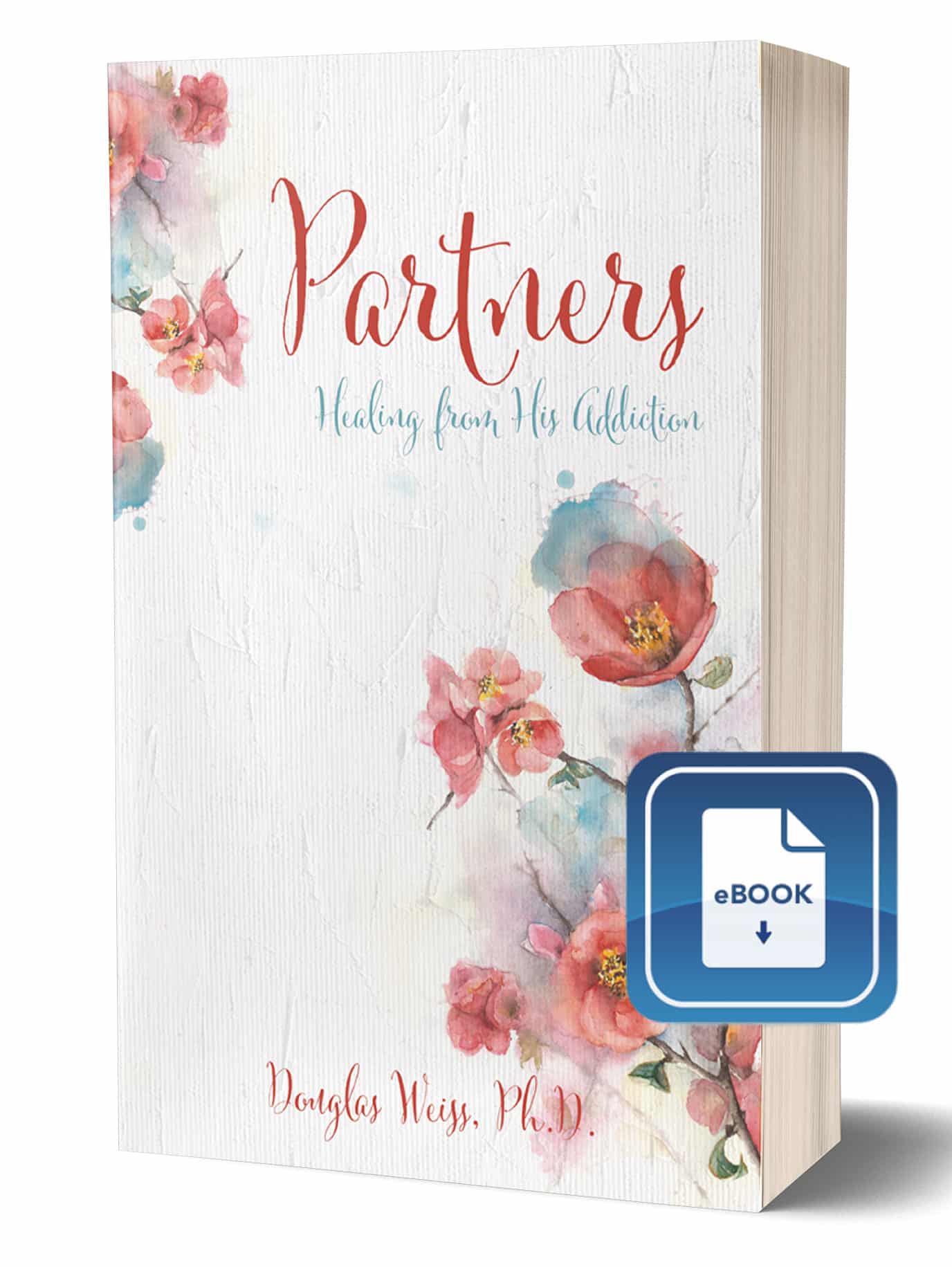 Partners - Healing from His Addiction eBook